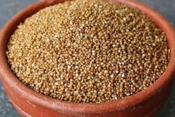 Barnyard Millet (Sanwa) (Jangali Bajra)
