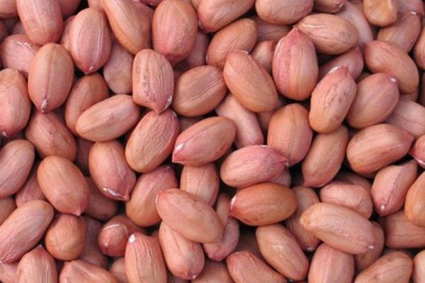 Groundnut (Peanut)