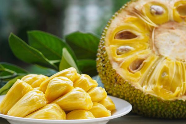 Jackfruit