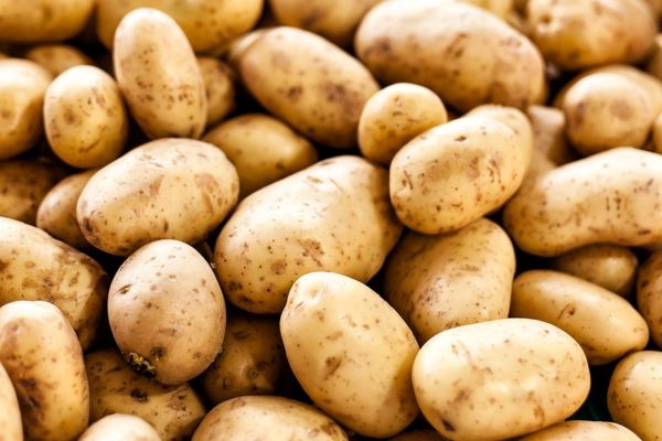 Potato