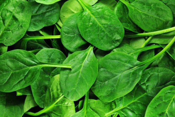 Spinach