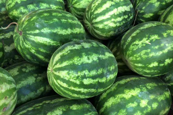 Watermelon